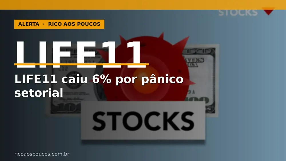 LIFE11 caiu 6% arrastado pelo pânico do CACR11